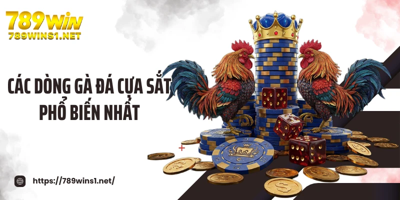 Các dòng gà đá cựa sắt phổ biến nhất