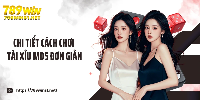 Chi tiết cách chơi tài xỉu MD5 đơn giản