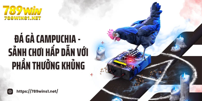 Đá Gà Campuchia - Sảnh Chơi Hấp Dẫn Với Phần Thưởng Khủng