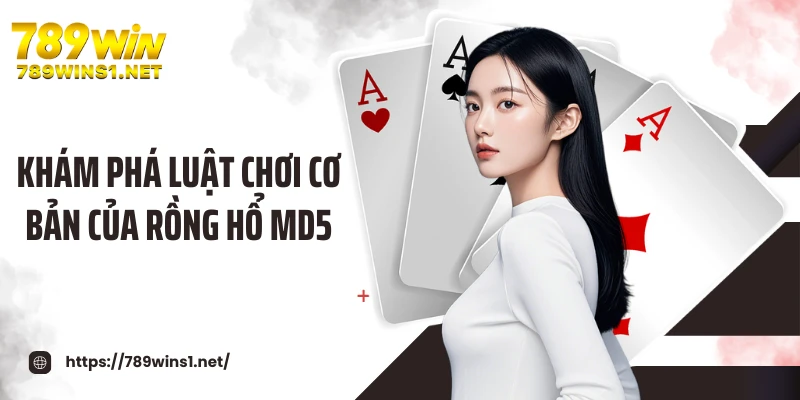 Khám phá luật chơi cơ bản của rồng hổ MD5