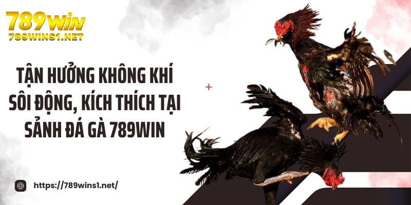 Tận hưởng không khí sôi động, kích thích tại sảnh đá gà 789WIN